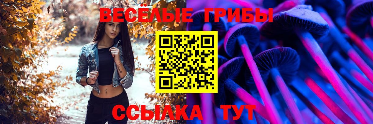 магазин продажи наркотиков  Вход с VPN  Нефтекамск  Псилоцибиновые грибы мухоморы 